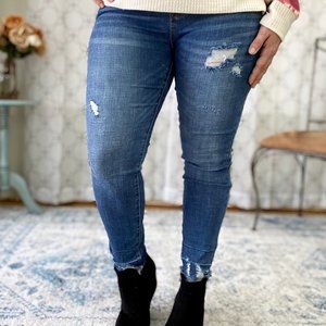 Judy Blue High Rise Skinny Jeans
